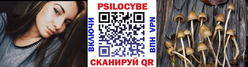 Псилоцибиновые грибы Psilocybe  Исилькуль 